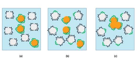 Surfactant Influence on Colorant Acceptance